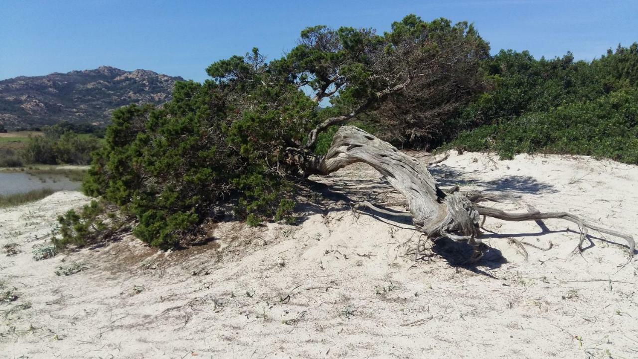 Villa Le Ginestre La Caletta Buitenkant foto